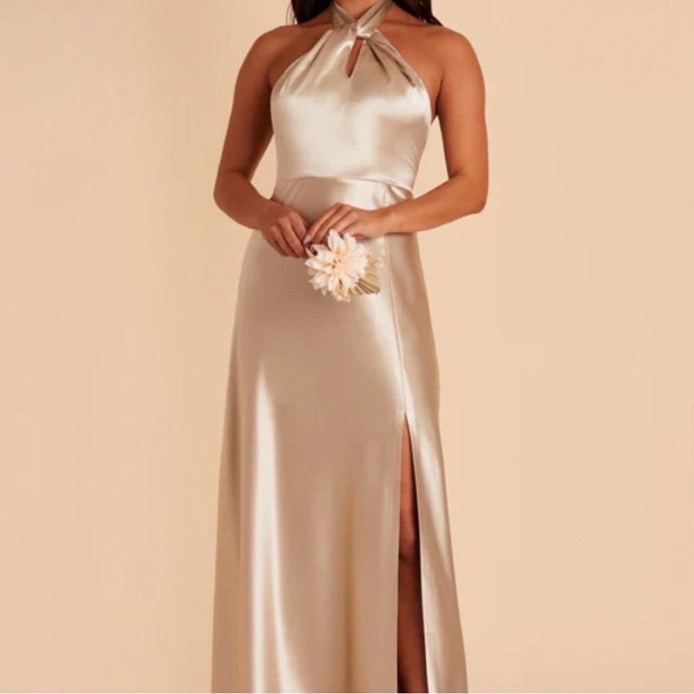 Birdy Grey Neutral Champagne Shiny Satin Monica Dress